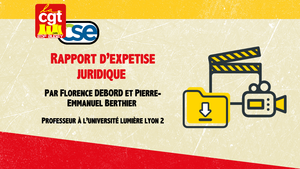 Note Grève : Rapport d'expertise Juridique 