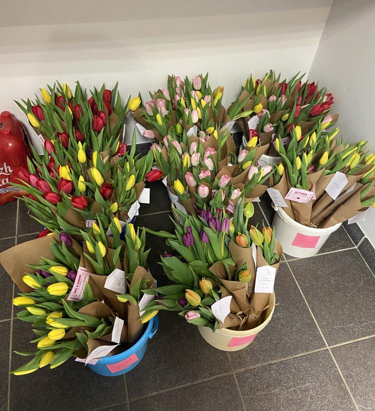 [CVL] Vente de tulipes pour la Saint-Valentin 