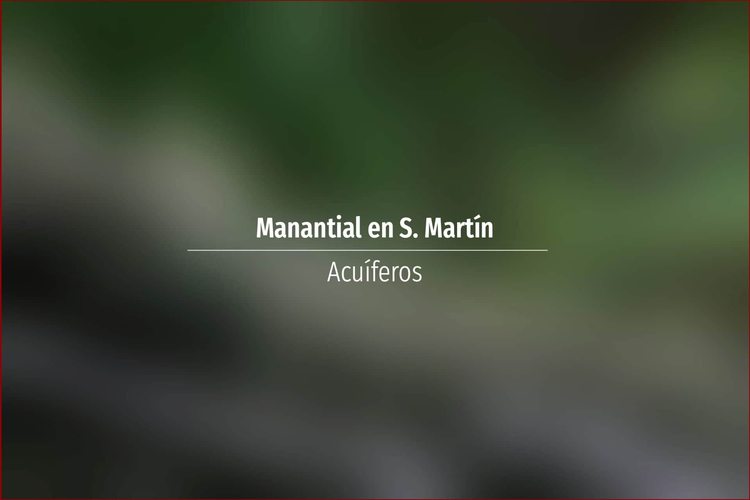 Manantial en S. Martín