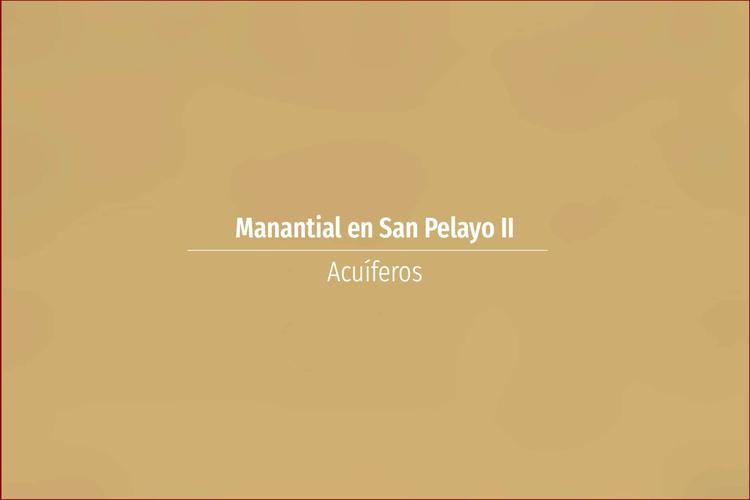 Manantial en San Pelayo II