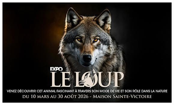 Plongez dans le mystère du loup gris / MAISON SAINTE-VICTOIRE / CD13