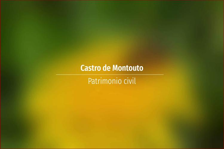 Castro de Montouto