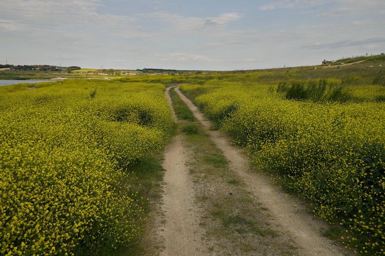 SIGUIENDO LA RUTA TRAZADA