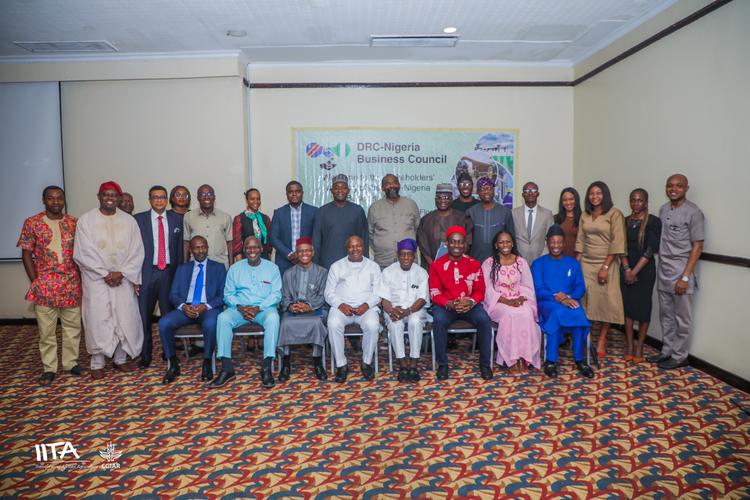 Participation de l’ANAPI aux travaux du Conseil d’affaires RDC-Nigéria à Lagos