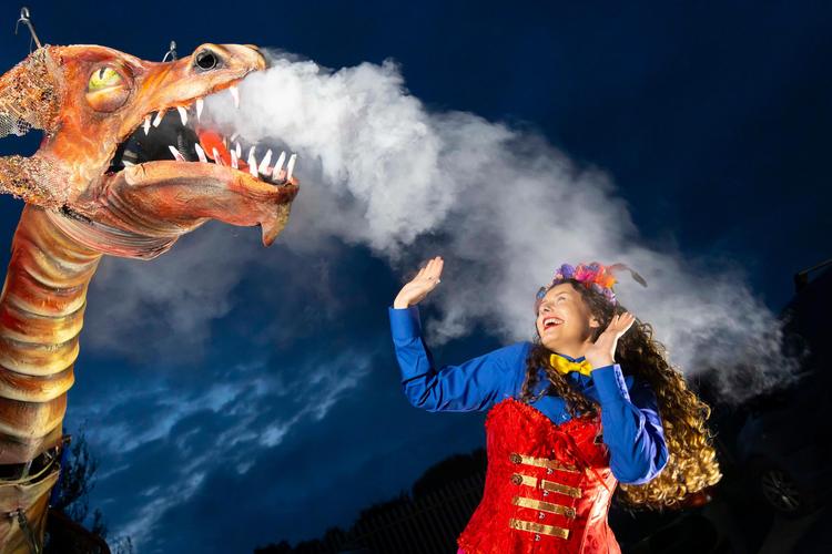 All the fun of the fair, fleadh, feis and festival