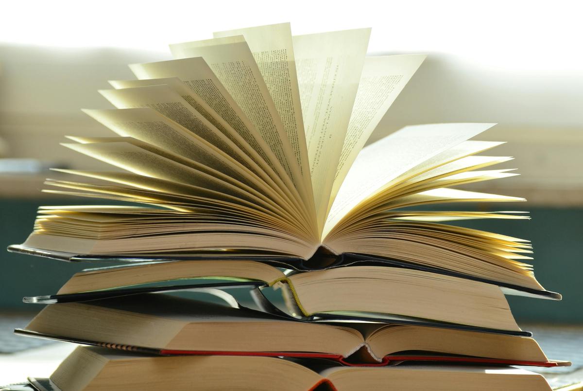 Bibliothèque : Festival "vitaBIB" édition 2026