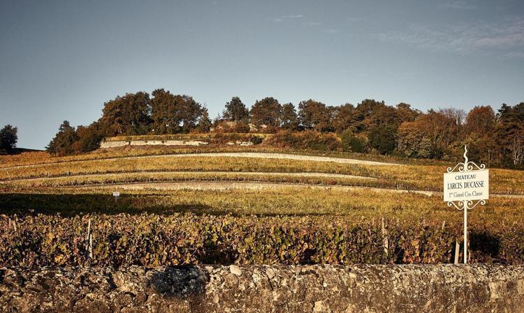 Château Larcis Ducasse 2025