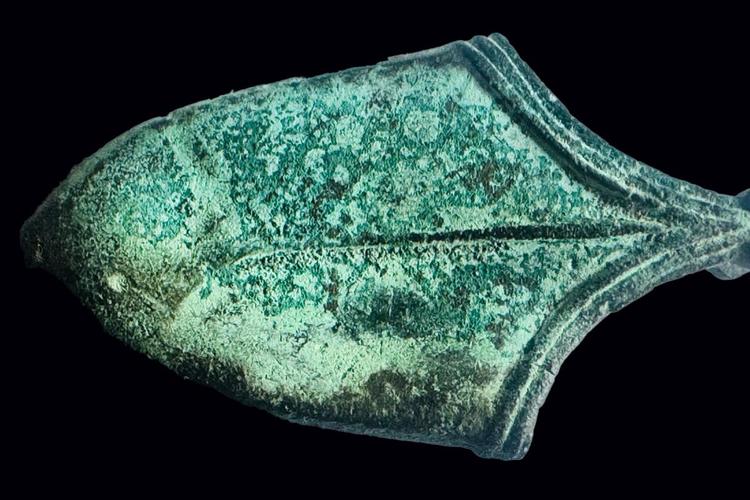 11th-century sword scabbard fitting discovered in Poland