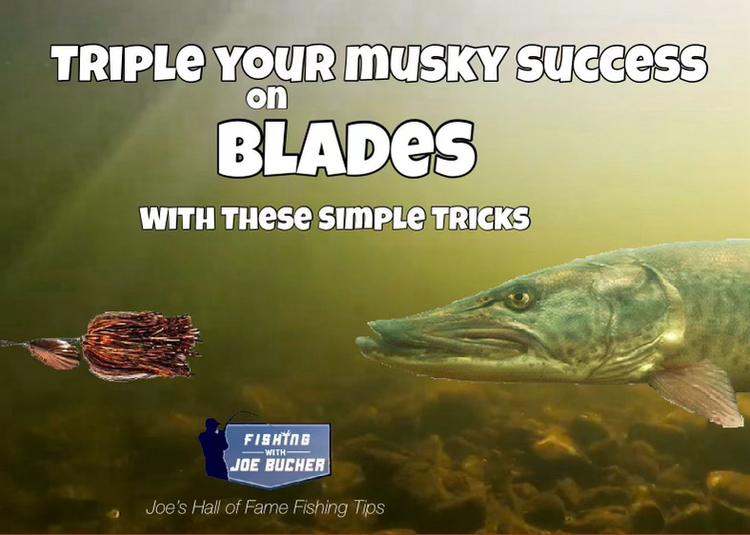 Triple Your Musky Success on Blades 