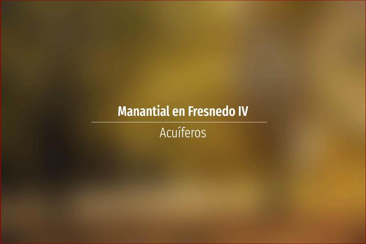 Manantial en Fresnedo IV