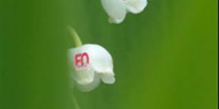 1er mai 2021 : Journée internationale des travailleurs