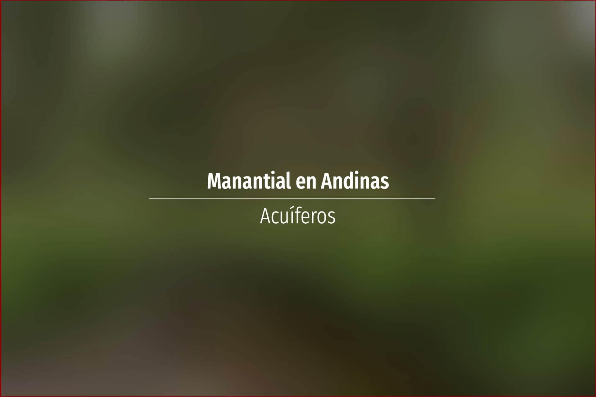 Manantial en Andinas