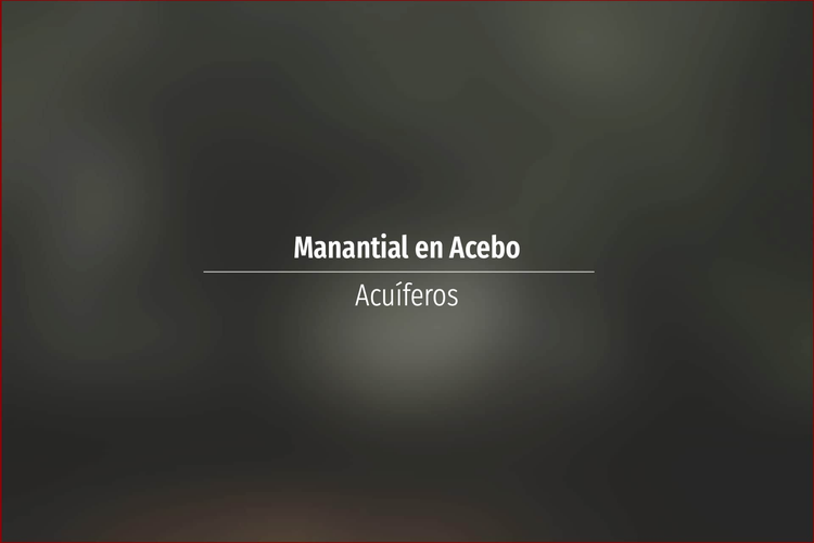 Manantial en Acebo