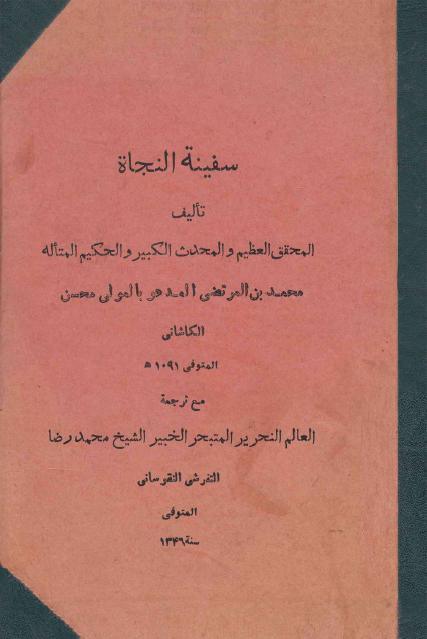 سفينة النجاة