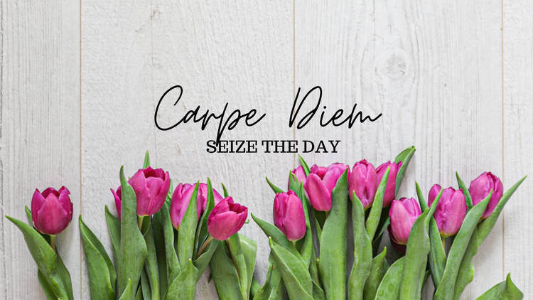 Carpe Diem, Seize The Day ~ Lucy's Story