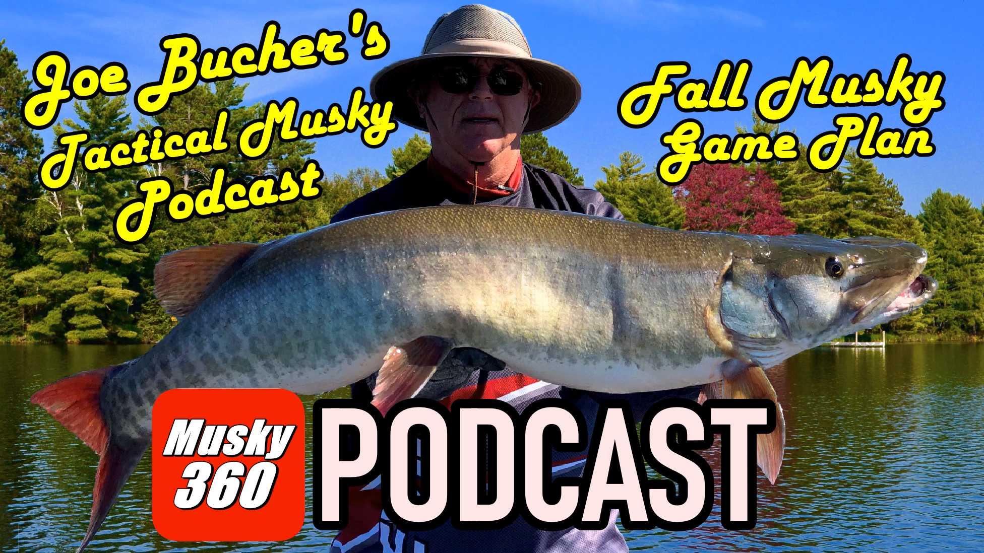 Joe Bucher's Tactical Musky Podcast : Fall Muskies 