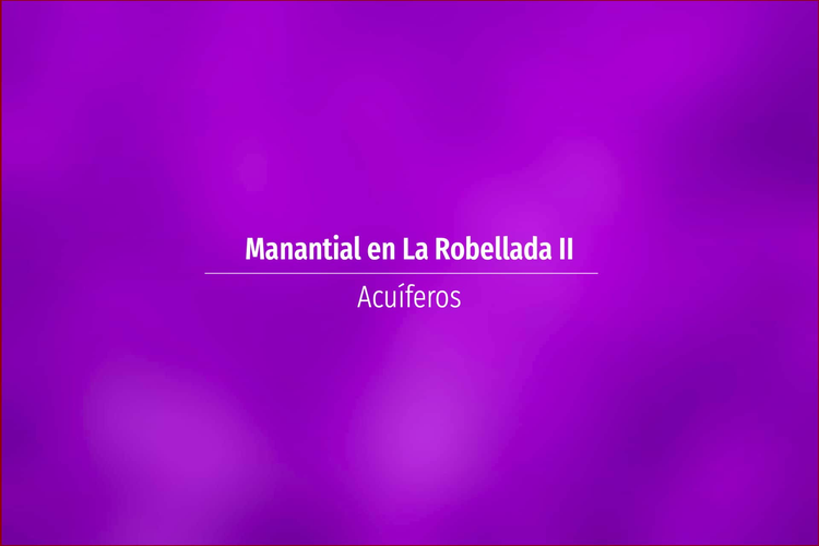 Manantial en La Robellada II