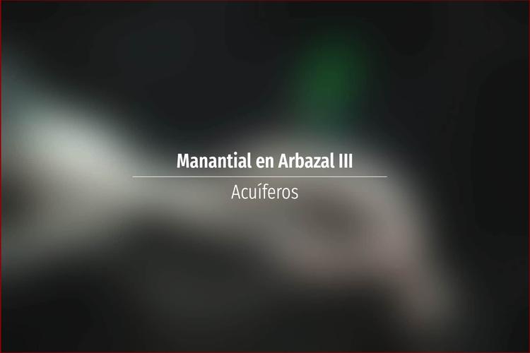 Manantial en Arbazal III