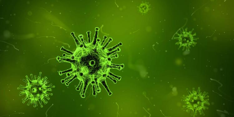 Sedici virus che la natura non ha mai creato: l'IA di Stanford apre un nuovo fronte tra scienza e biosicurezza