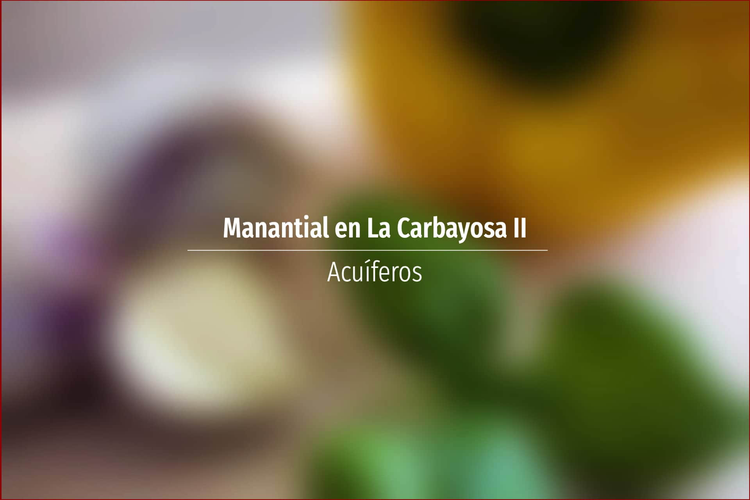 Manantial en La Carbayosa II