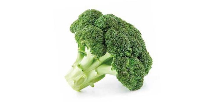 Cavolo Broccolo Nicastrese
