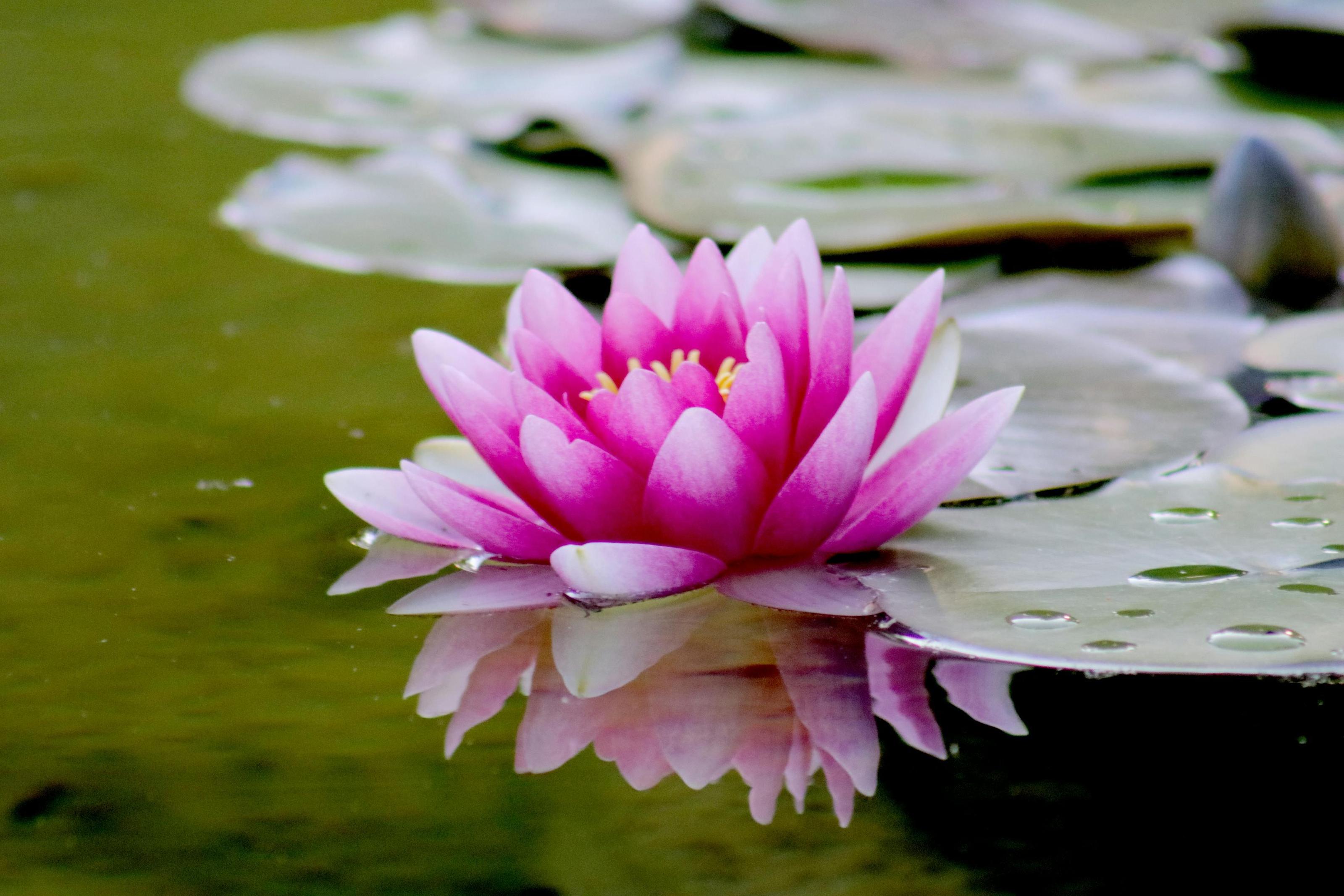 May's Mindful Moments Challenge