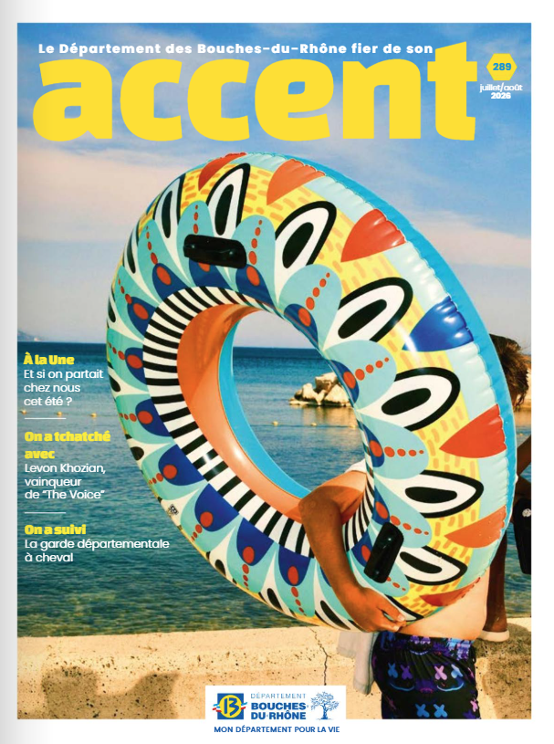 ACCENT 289