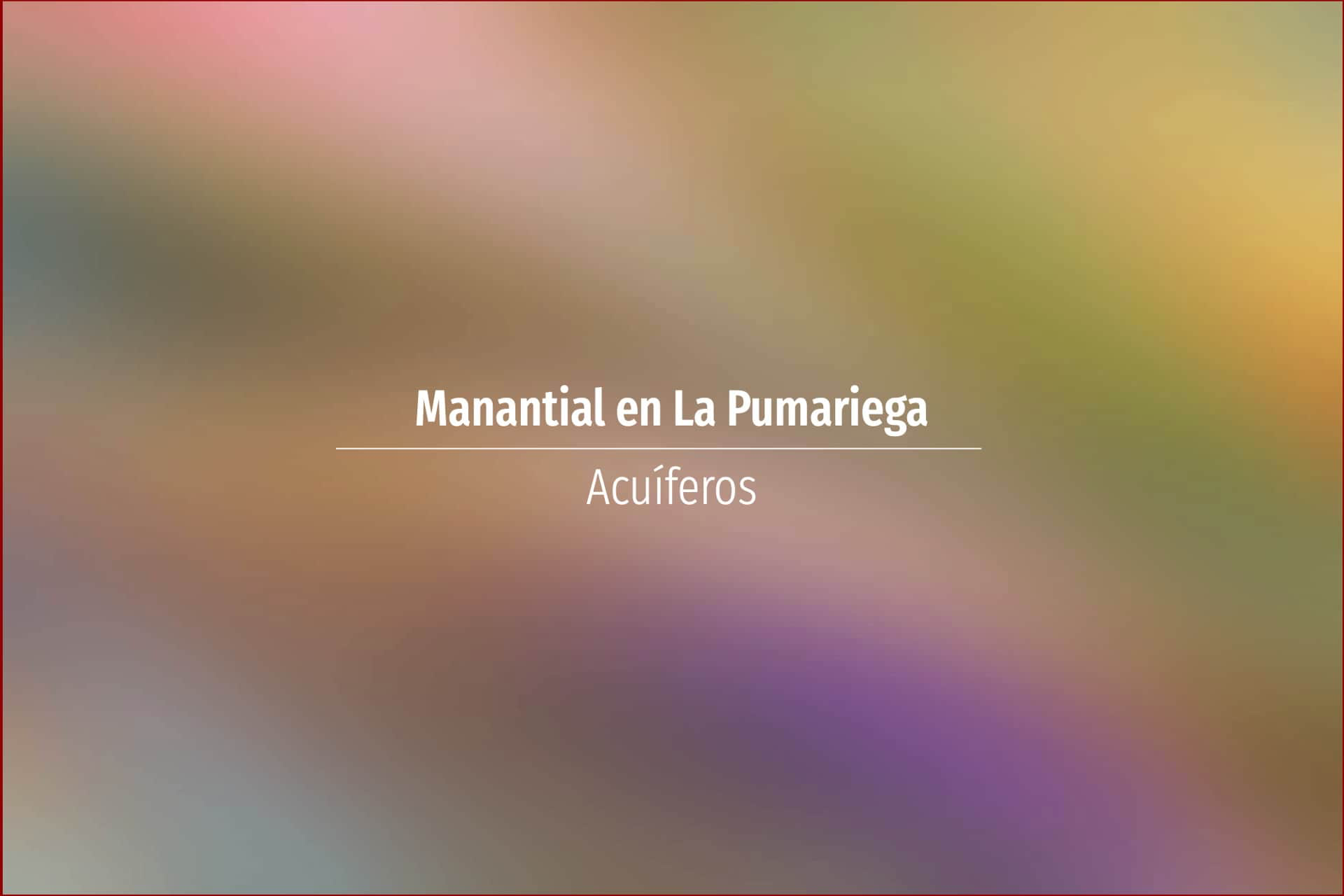 Manantial en La Pumariega