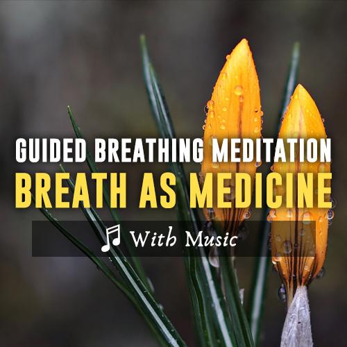 Healing Breathwork Meditation - With Music