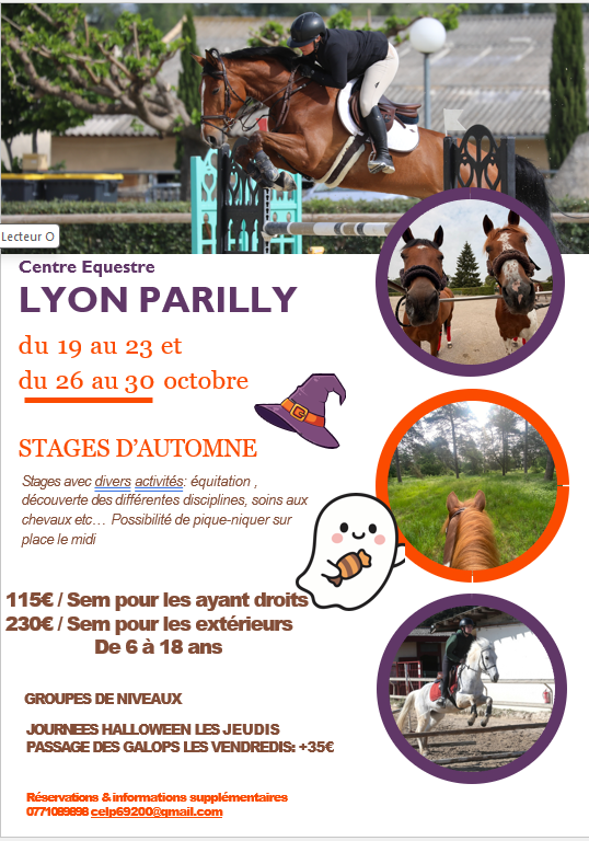 Stage enfants EQUITATION - Automne
