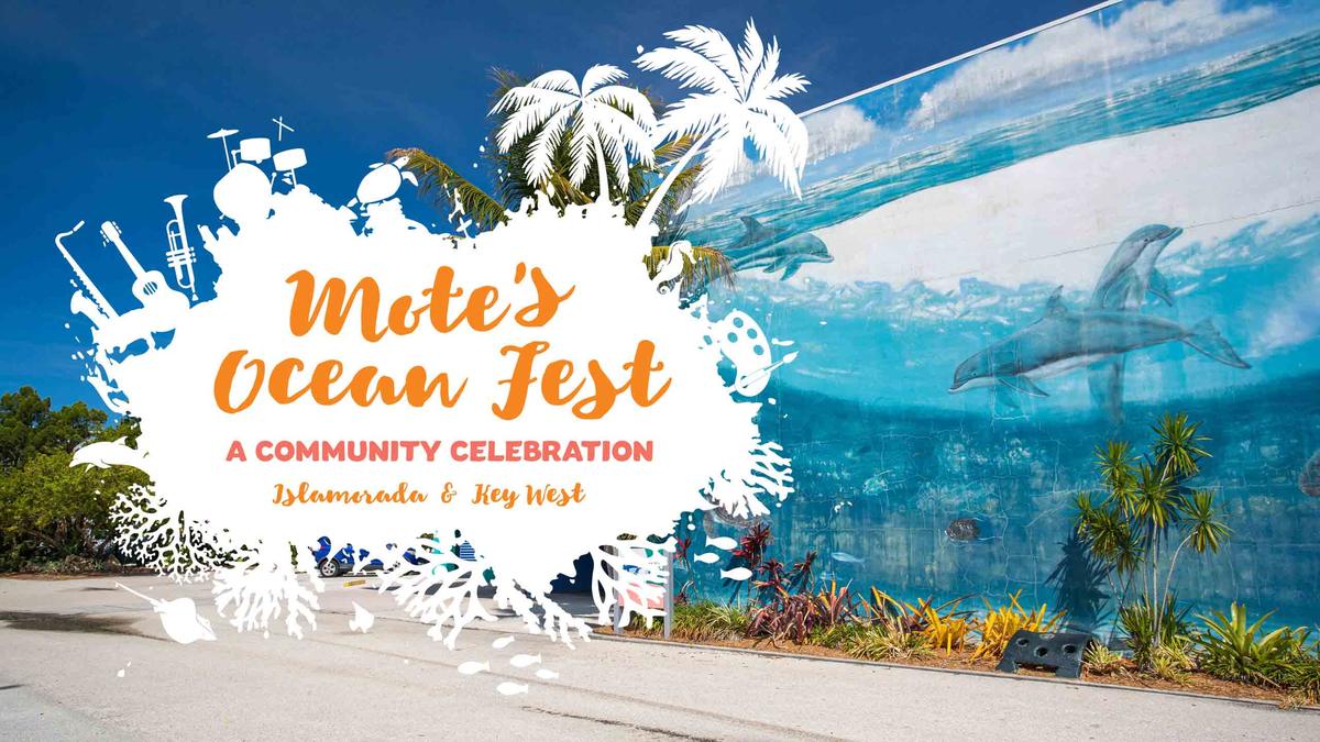 Mote Marine Ocean Festival zur Feier der Unterwasserwelt am 3. Dezember in Key West