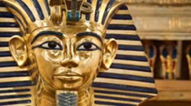 Torino: museo egizio e Bioparco zoom