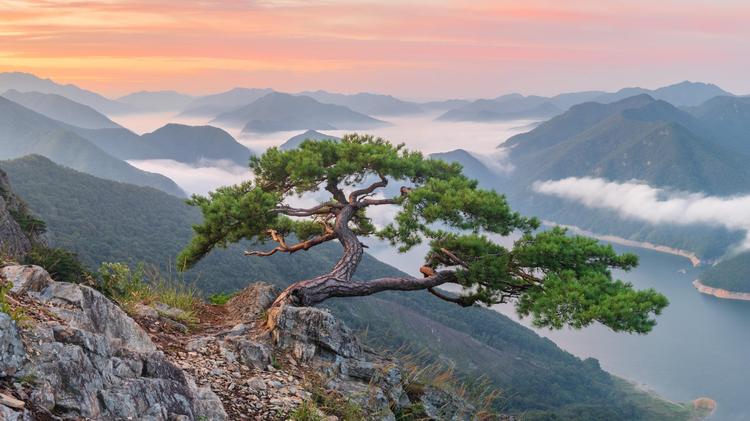 Il “Korea discount” si assesta: le lezioni per le Isole Canarie