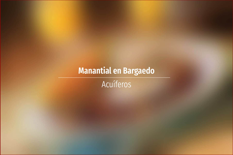 Manantial en Bargaedo