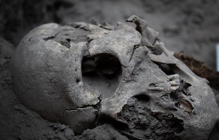 SKELETON FOUND IN ROCK SHELTER CORRESPONDS WITH THE RELATIVELY UNKNOWN JANAMBRE CULTURE