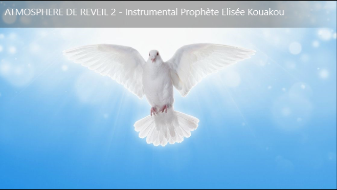 ATMOSPHERE DE REVEIL 2 - Instrumental Prophète Elisée Kouakou