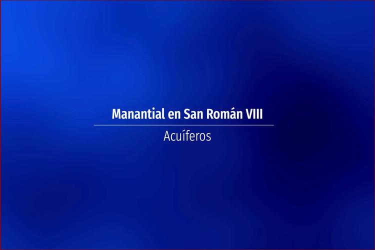 Manantial en San Román VIII