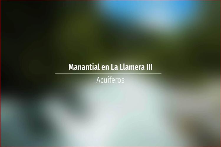 Manantial en La Llamera III