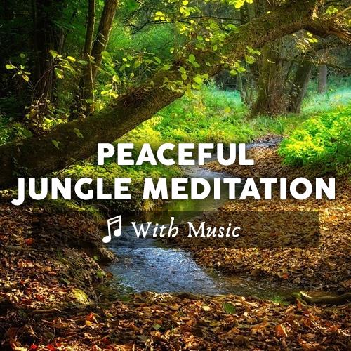 Peaceful Jungle Relaxation Sleep Journey  - With Music