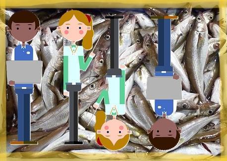 Sardines : 50 ans d'histoire des locaux de travail LTA...