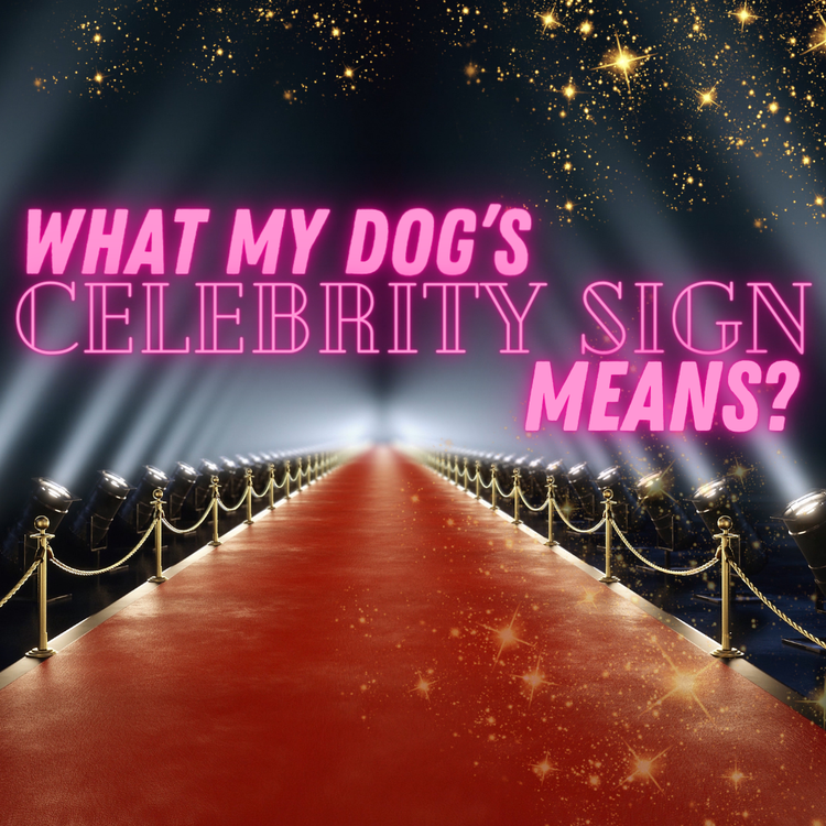 What Does Your Dog's Celebrity Sign Mean for Them?