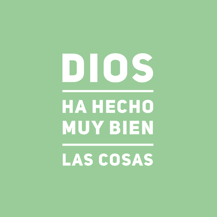El reto de hoy es que si ves alguna señal de que algo no va bien en los demás o en ti mismo, indagues el origen y pidas al Señor luz y fuerza.