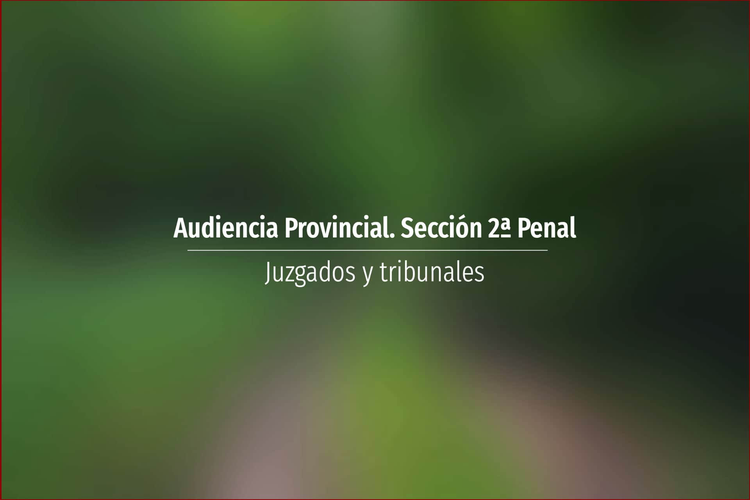 Audiencia Provincial. Sección 2ª Penal