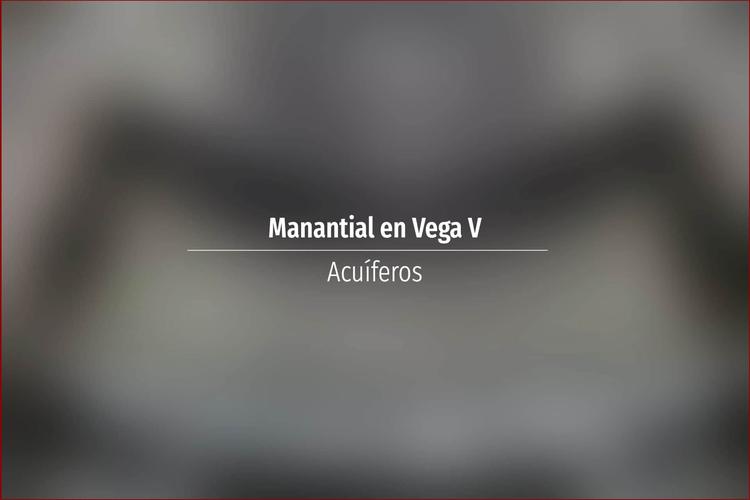 Manantial en Vega V