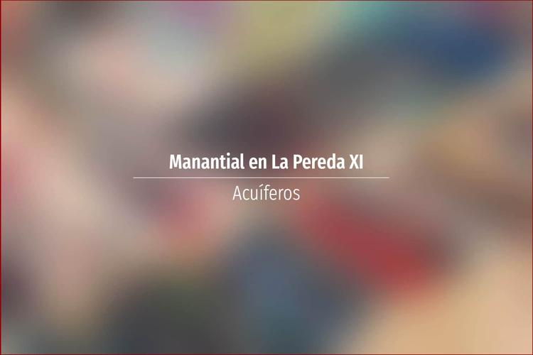 Manantial en La Pereda XI