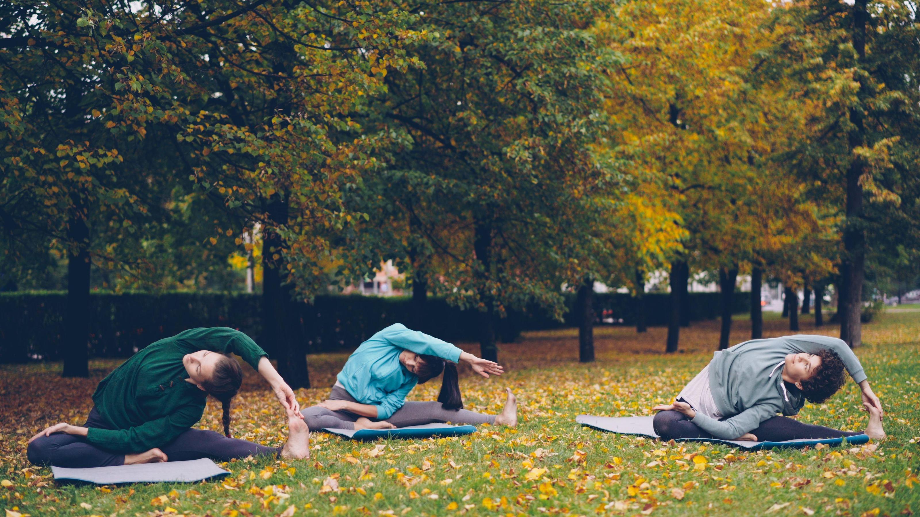 Aula 4: Yoga com Karla Pellicano 