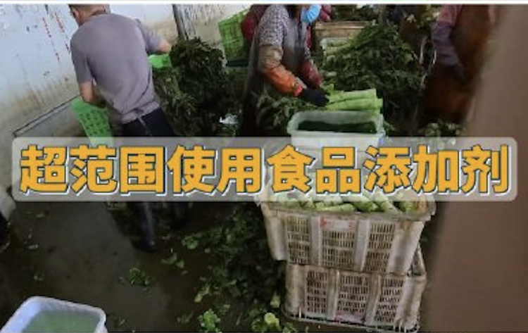 中国出现染色萵筍