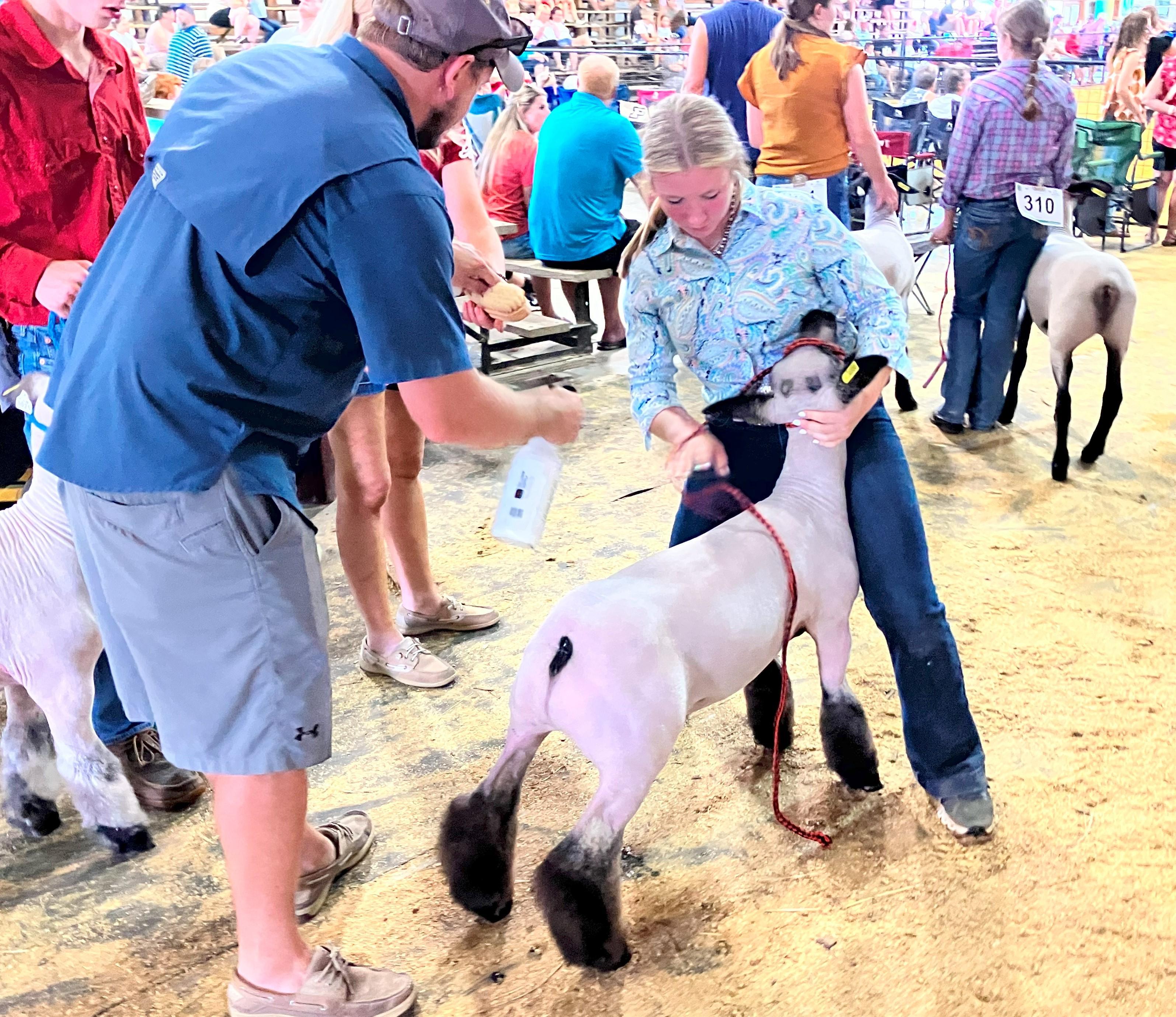 It’s Fair Week!
