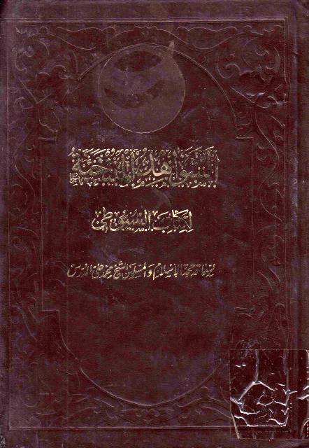 الشواهد المنتخبة لكتاب السيوطي