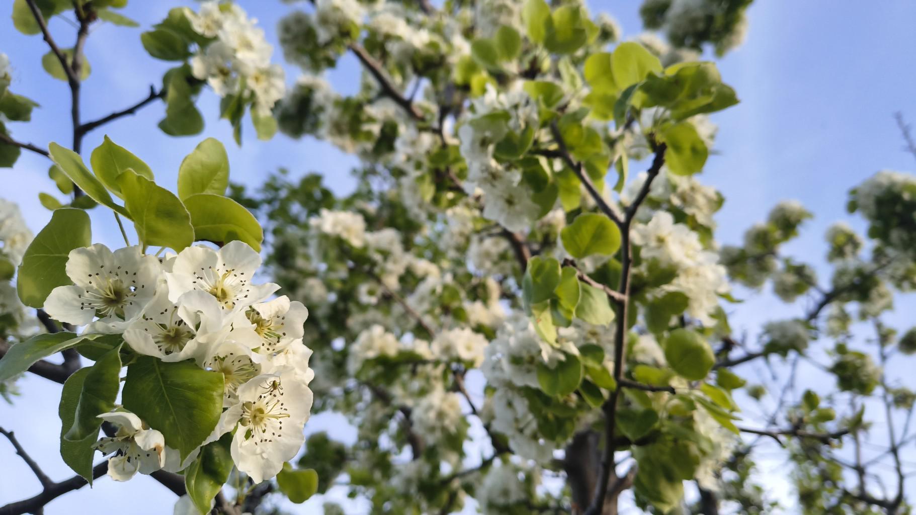 Селата в старозагорско ще отпразнуват Гергьовден с богата програма